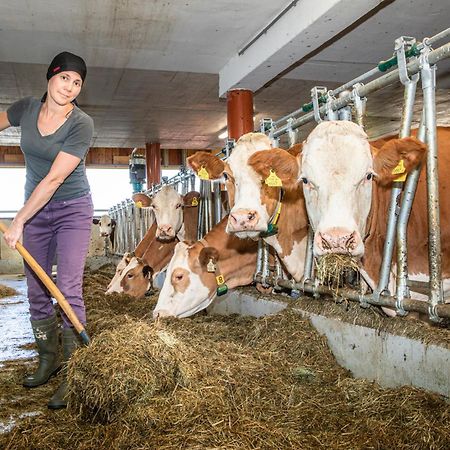 Ferienwohnung Angerlgut Sankt Koloman Exteriör bild