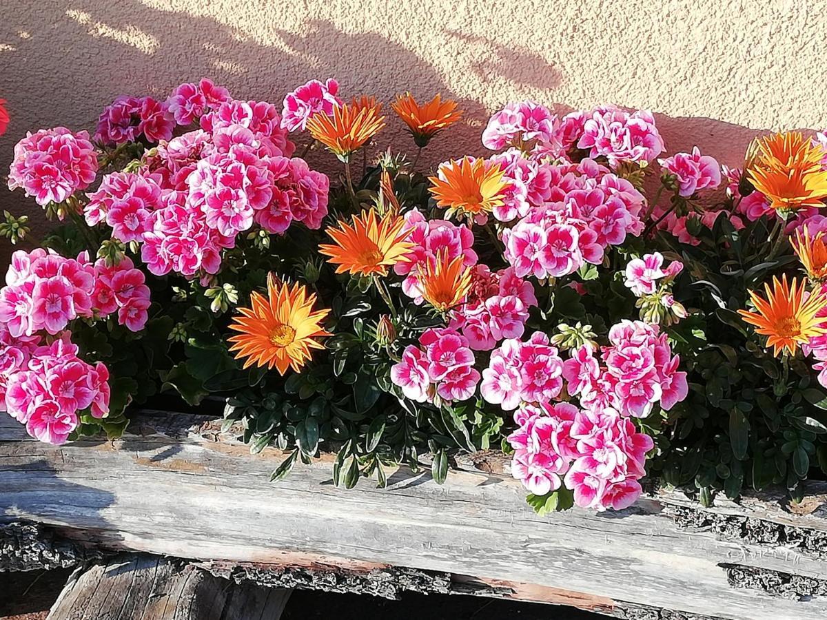 Ferienwohnung Angerlgut Sankt Koloman Exteriör bild