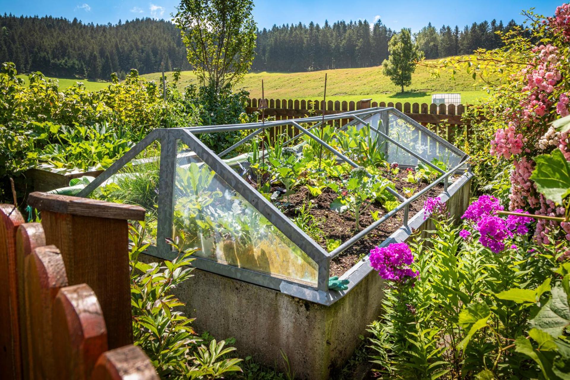 Ferienwohnung Angerlgut Sankt Koloman Exteriör bild